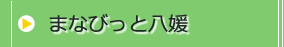 まなびっと八媛